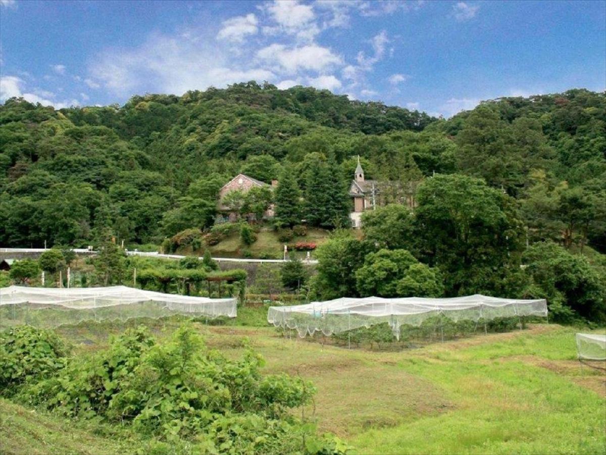 Rokugatsu-No-Mori Auberge Szano Kültér fotó